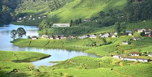 Kerala – Munnar Special 111 - Image 2